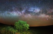Elanets_Steppe005